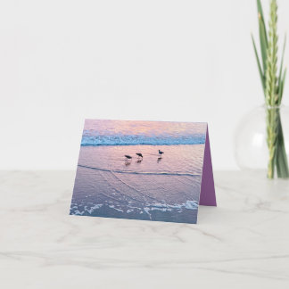 Seabirds at Twilight Kort