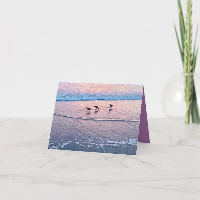 Seabirds at Twilight Kort (Framsida)