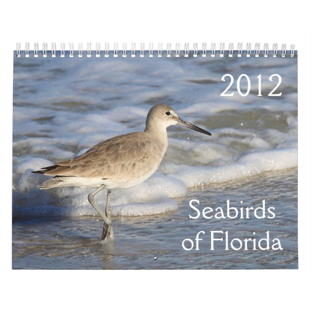 Seabirds av Florida 2012 Kalender (Omslag)