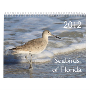Seabirds av Florida 2012 Kalender