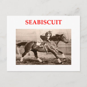 seabiscuit vykort
