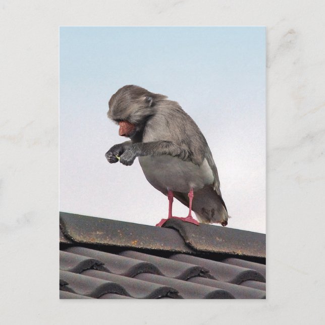 Seaboon Vykort (Framsida)