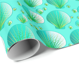 Seafoam gröna snäckskal på aqua presentpapper