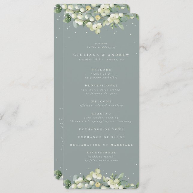 Seafoam Grönt Snowberry+Eucalyptus Winter Wedding Program (Fram/baksida)