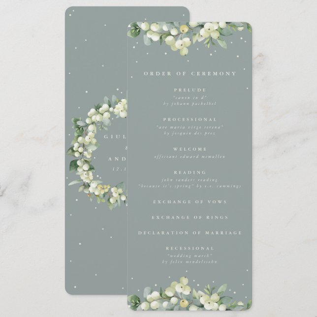 Seafoam Grönt Snowberry+Eucalyptus Winter Wedding Program (Fram/baksida)