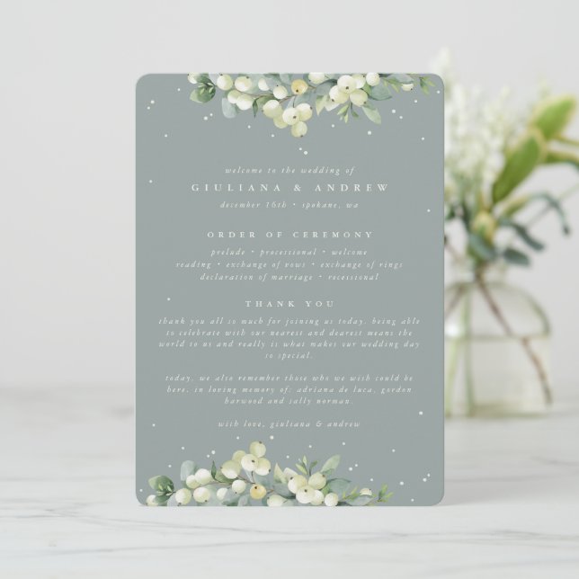 Seafoam Grönt Snowberry+Eucalyptus Winter Wedding Program (Stående Fram)