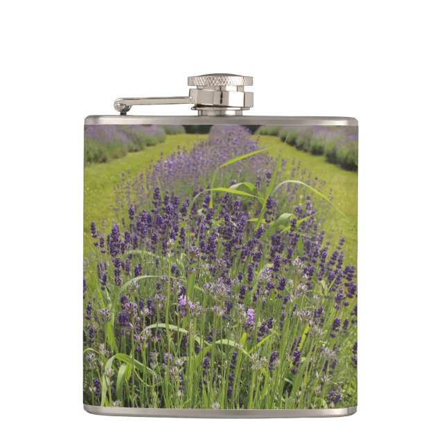 Seafoam Lavender Farm Fickplunta (Framsidan)