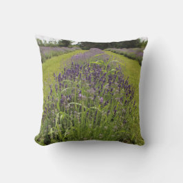 Seafoam Lavender Farm Kudde