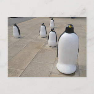Seafront Penguins Vykort