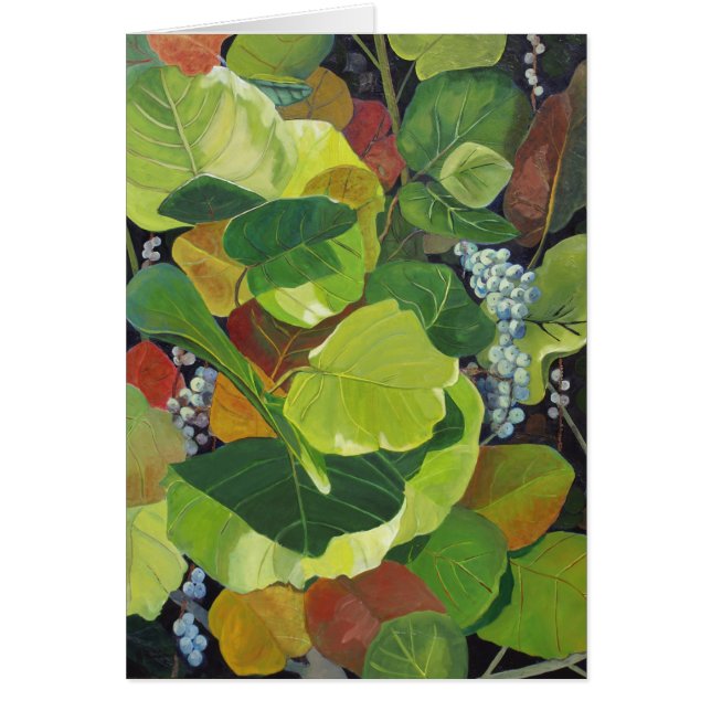 Seagrape OBS Kort (Framsidan)