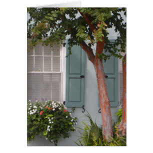 Seagreen Shutters Hälsningskort