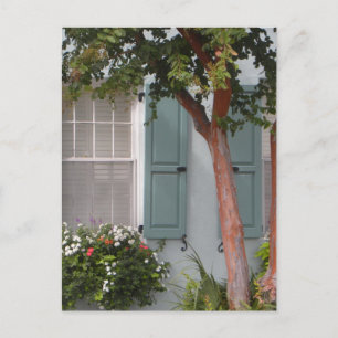 Seagreen Shutters Vykort