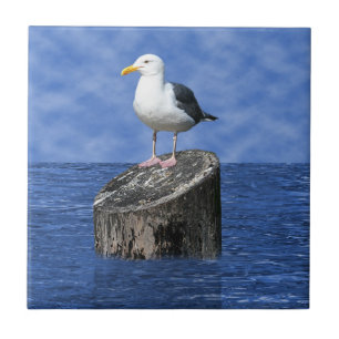 SEAGUL KAKELPLATTA