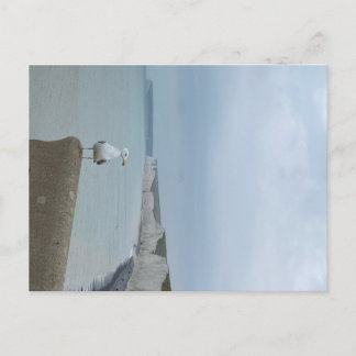 Seagul och vita klippor av Seven Sisters, Förenade Vykort