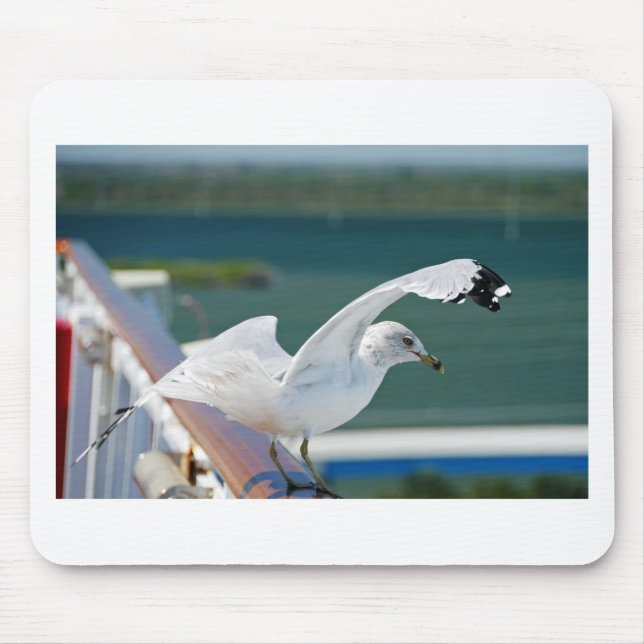 Seagull.JPG Musmatta (Framsidan)