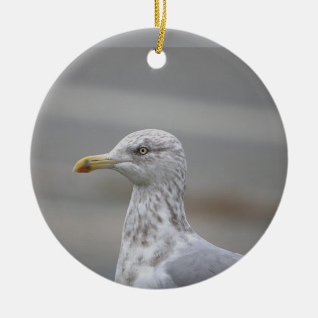 Seagull Photo Ornament  (Framsidan)