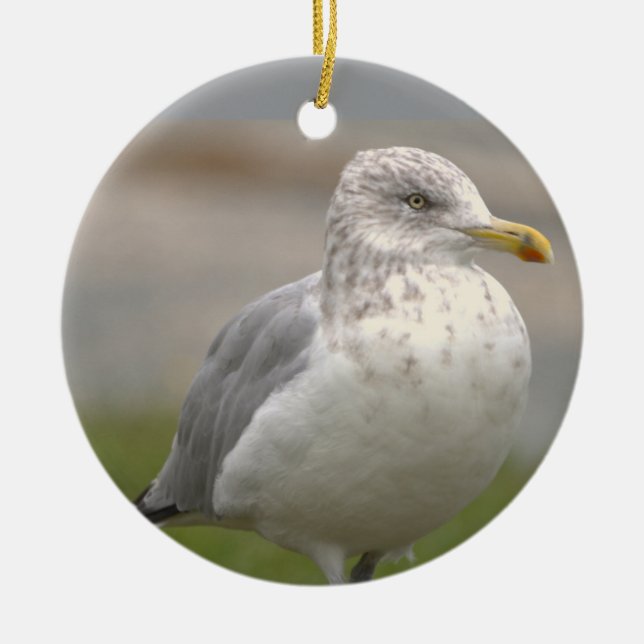 Seagull Photo Ornament  (Framsidan)