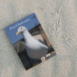 Seagull Surprise Funny Birthday Card Kort<br><div class="desc">Looking for a down right,  funny birthday card for someone? How about a seagull surprise? Select from matte or glossy style card.</div>