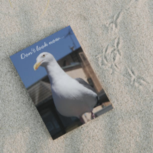 Seagull Surprise Funny Birthday Card Kort
