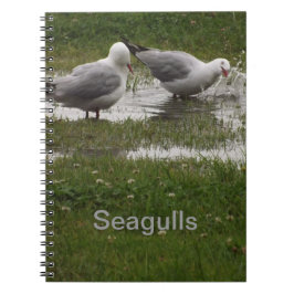 Seagulls in a Puddle Anteckningsbok Med Spiral