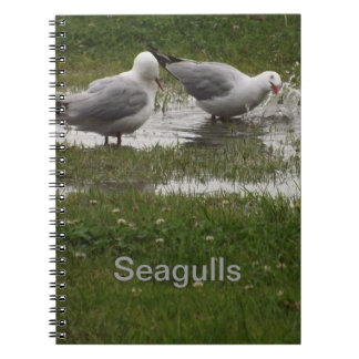 Seagulls in a Puddle Anteckningsbok Med Spiral