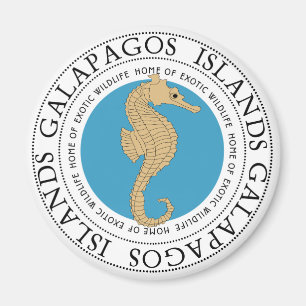Seahäst Magnet