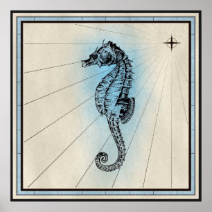 Seahäst Poster