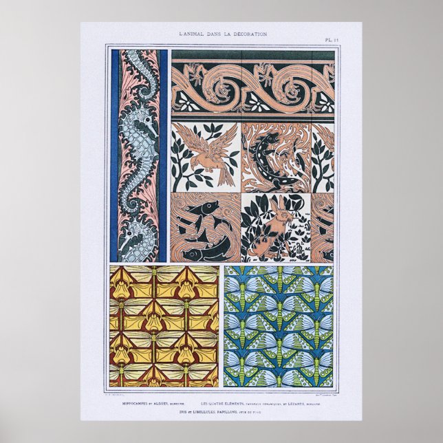 Seahästar, Lizards, Dragonflies, Butterflies Poster (Framsidan)