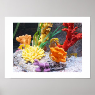 Seahästar Poster