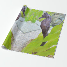 Seahästpresentwrap