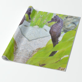Seahästpresentwrap Presentpapper