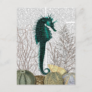 SeaHorse and Sea Urchins 2 Vykort