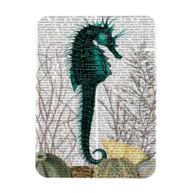 SeaHorse and Sea Urchins Magnet (Vertikal)