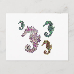 Seahorse Art by LeahG Vykort