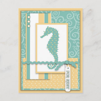 Seahorse Baby vykort