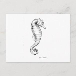 Seahorse Black and White Teckning Vykort