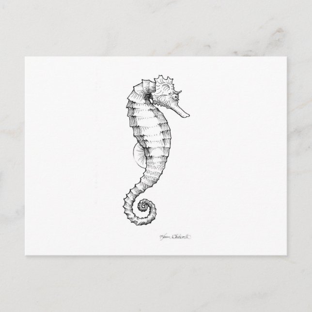 Seahorse Black and White Teckning Vykort (Framsida)