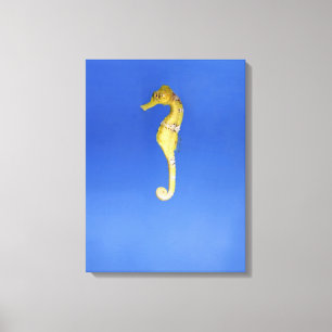 Seahorse Canvastryck
