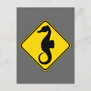 Seahorse Crossing! Vykort