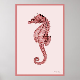 Seahorse i rosor poster