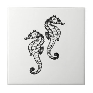 Seahorse Kakelplatta