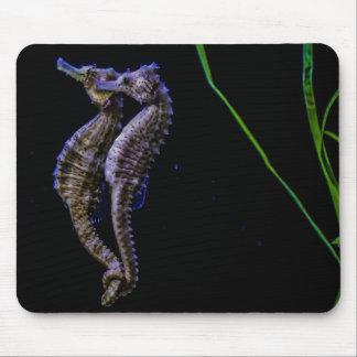 Seahorse Mousepad Musmatta