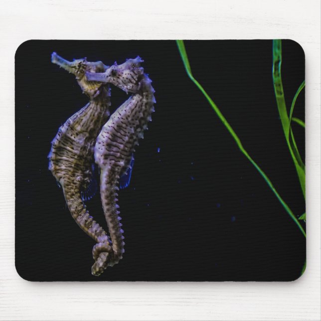 Seahorse Mousepad Musmatta (Framsidan)