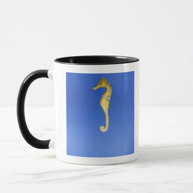 Seahorse Mugg (Vänster)