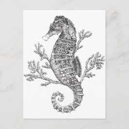 Seahorse och Coral Vykort