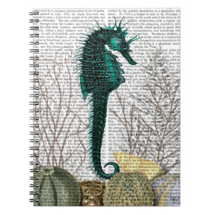 SeaHorse och Sea Urchins 2 Anteckningsbok Med Spiral