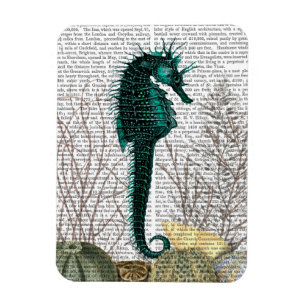 SeaHorse och Sea Urchins 2 Magnet