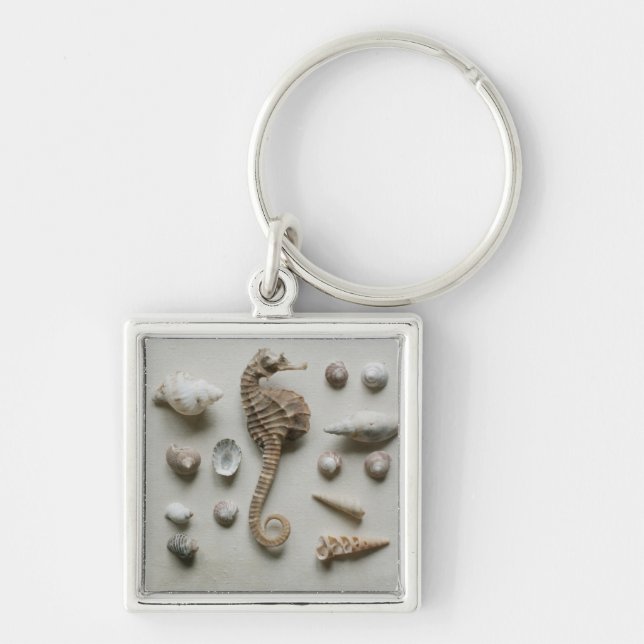 Seahorse och snäckor fyrkantig silverfärgad nyckelring (Framsidan)