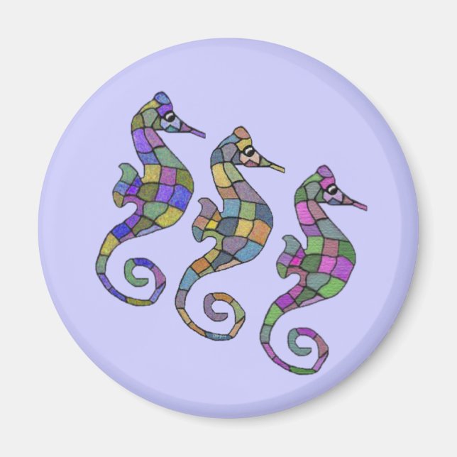 Seahorse Rainbow Magnet (Framsidan)