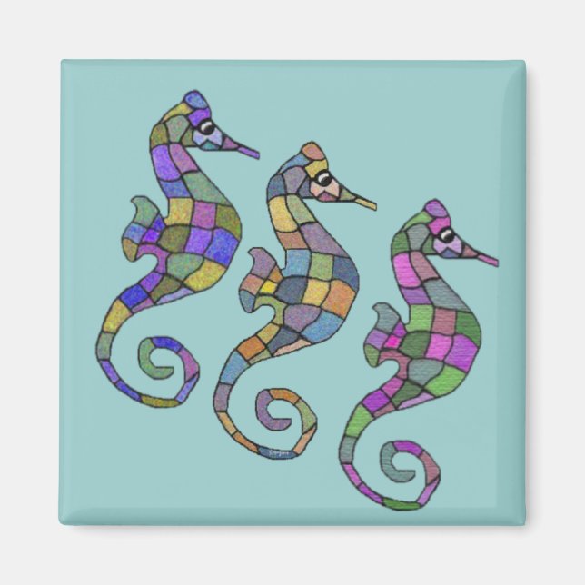 Seahorse Rainbow Magnet (Framsidan)